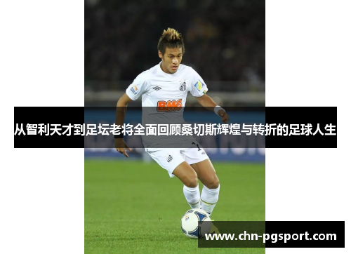 从智利天才到足坛老将全面回顾桑切斯辉煌与转折的足球人生