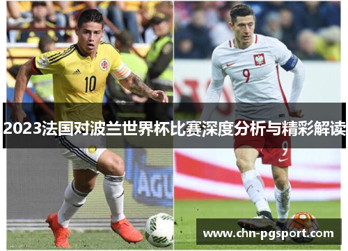 2023法国对波兰世界杯比赛深度分析与精彩解读