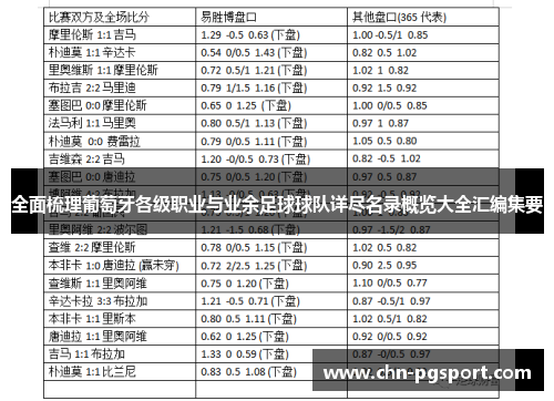 全面梳理葡萄牙各级职业与业余足球球队详尽名录概览大全汇编集要