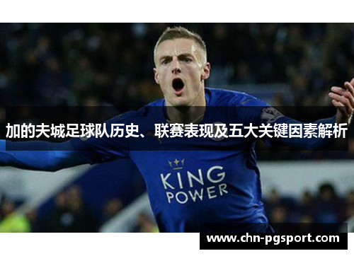 加的夫城足球队历史、联赛表现及五大关键因素解析